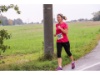 Strecke-HL2017 241 von 478