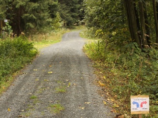 Herbstlauf 2013 - zu den Ergebnissen und Fotos