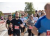 Herbstlauf Freiberg 84